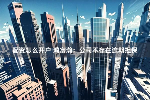 配资怎么开户 鸿富瀚：公司不存在逾期担保